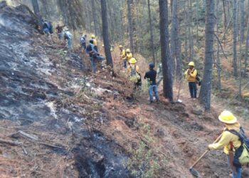 Liquidan incendio forestal en Libres