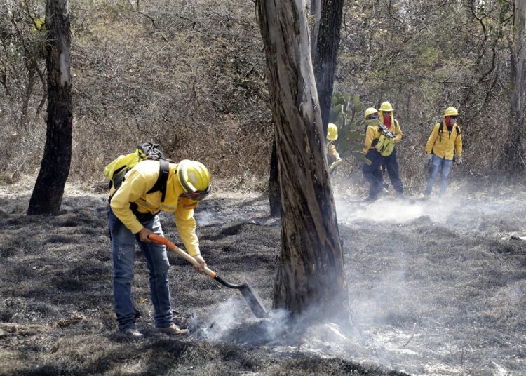 Brigadas Coyotes logran sofocar incendios forestales en Tlahuapan y Lafragua