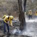 Brigadas Coyotes logran sofocar incendios forestales en Tlahuapan y Lafragua