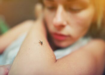 70% de casos de dengue se concentran en seis municipios