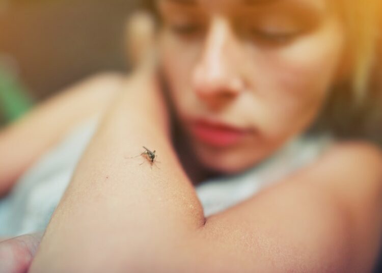 70% de casos de dengue se concentran en seis municipios