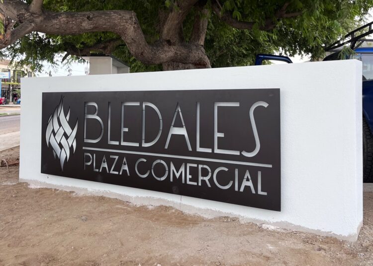 Construyen estacionamiento sostenible que permite paso del agua al subsuelo