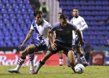 Puebla visita ‘la perra más grande de México’