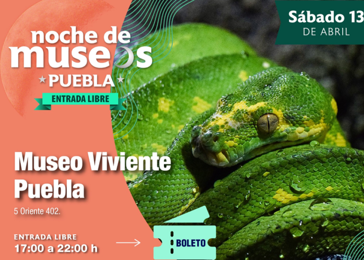 ¿Qué hacer en Puebla este fin de semana?