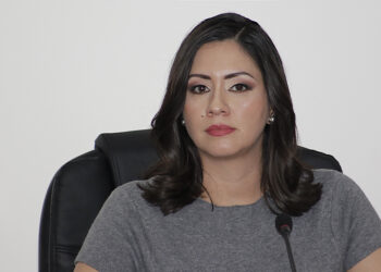 IEE registra ocho solicitudes de protección para candidatos