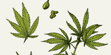 420