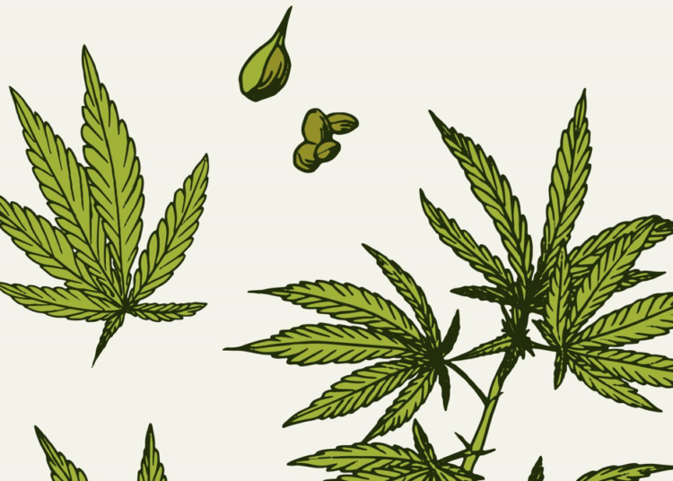 420