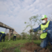 En 5 años, se reforestó el equivalente a 22 canchas de futbol en Monterrey