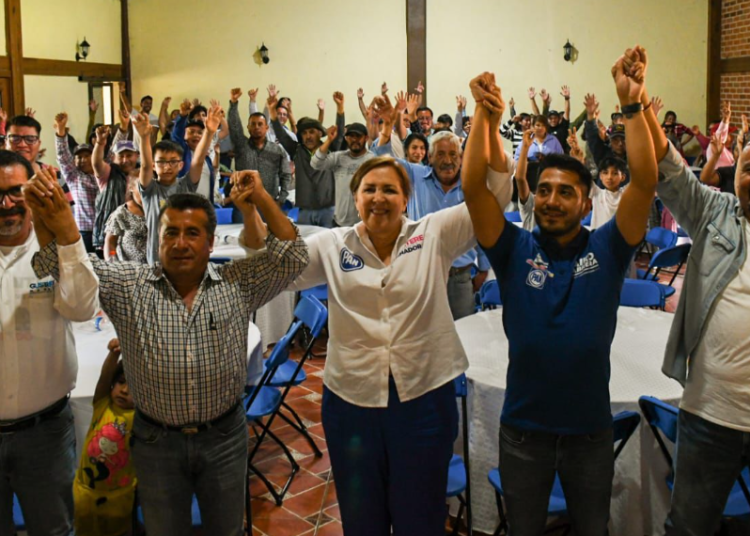 Ana Tere pide tener claridad del destrozo que causa Morena