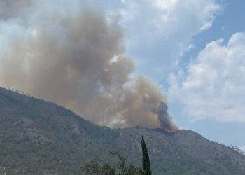 Reportan incendio forestal en Tetela de Ocampo