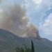 Reportan incendio forestal en Tetela de Ocampo