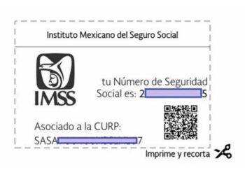 ¿Cómo saber cuál es mi Número de Seguridad Social?