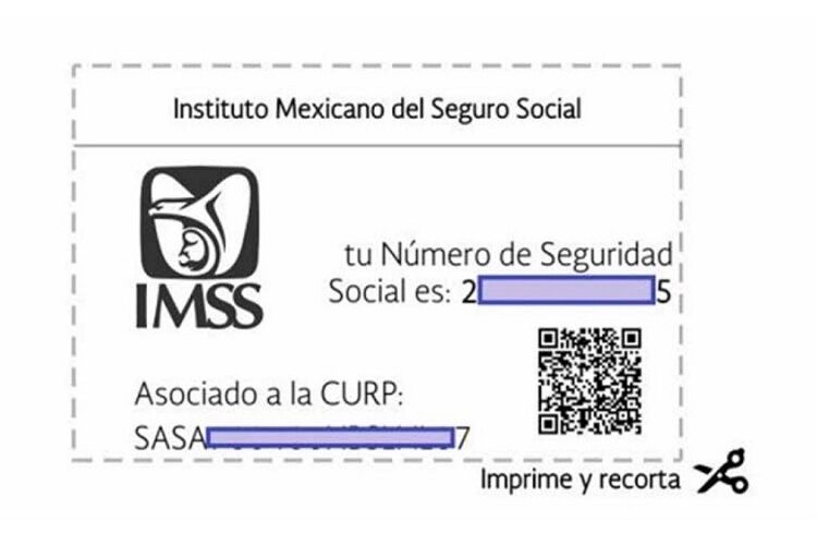 ¿Cómo saber cuál es mi Número de Seguridad Social?