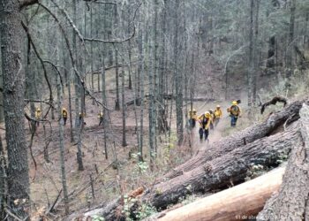 Por tierra y aire se combate incendio forestal en Ocotepec