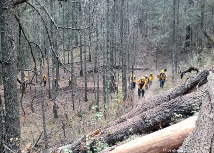 Por tierra y aire se combate incendio forestal en Ocotepec