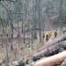 Por tierra y aire se combate incendio forestal en Ocotepec