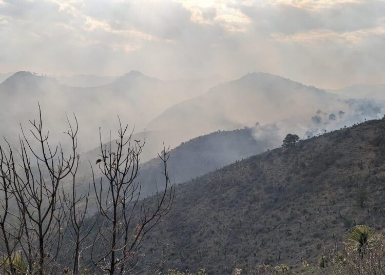 Incendio en Rancho Viejo, en un 90 por ciento liquidado