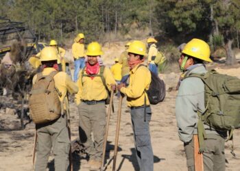Controlan incendio en Libres