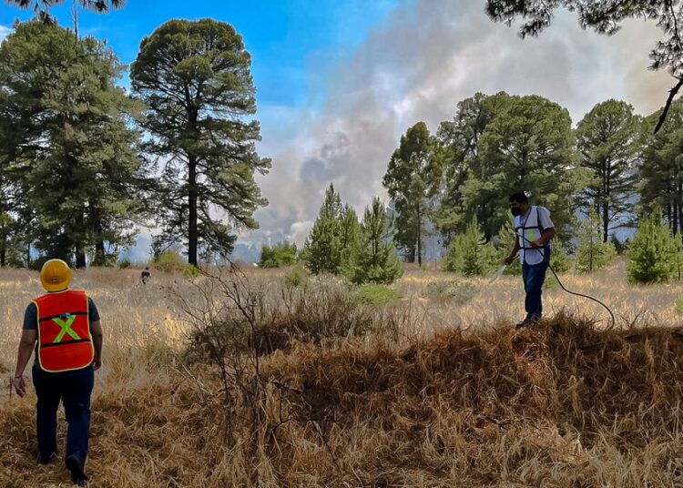 Incendios forestales son provocados por delincuencia e intereses inmobiliarios