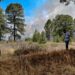 Incendios forestales son provocados por delincuencia e intereses inmobiliarios