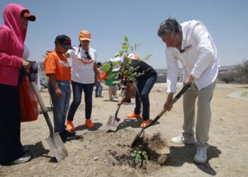 Fernando Morales reforesta unidades habitacionales