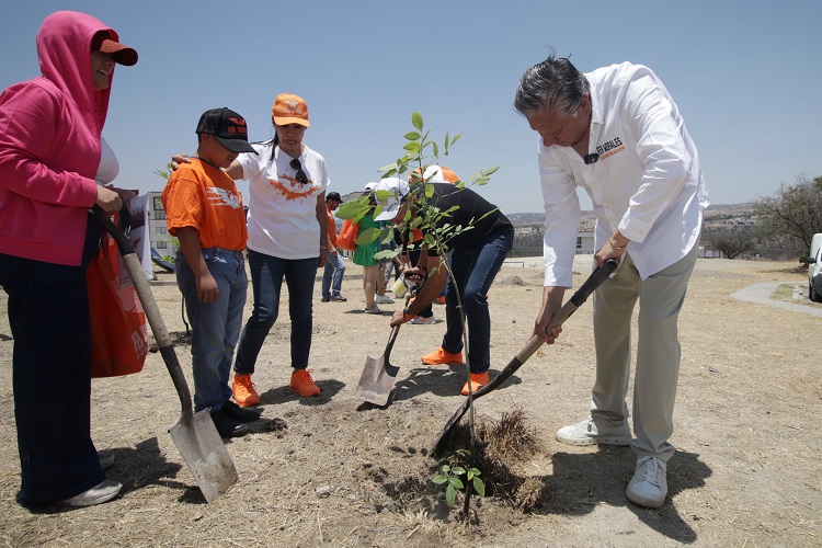 Fernando Morales reforesta unidades habitacionales