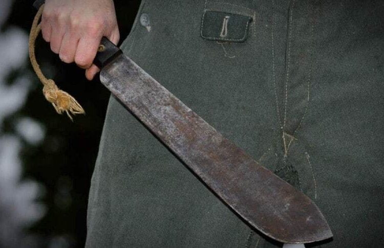 Vinculan a proceso a hombre que atacó con un machete a un perro