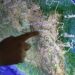 No hay incendios forestales activos en Puebla