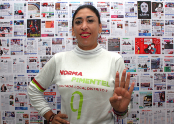 Leyes para sustentabilidad, igualdad sustantiva, en la agenda legislativa de Norma Pimentel