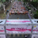 Un éxito la Primera Carrera IPN Once K en Puebla