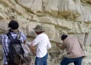 Laboratorio de Paleobiología BUAP: estudia el origen, evolución y extinción de flora de México