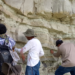 Laboratorio de Paleobiología BUAP: estudia el origen, evolución y extinción de flora de México