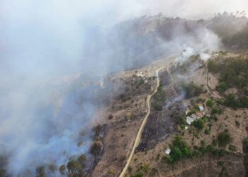 Incendio forestal en Zacatlán está controlado al 80%: Céspedes