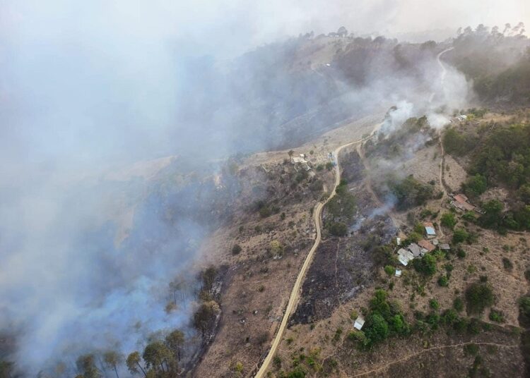 Incendio forestal en Zacatlán está controlado al 80%: Céspedes