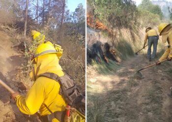 Gobierno del Estado combate con efectividad incendios forestales