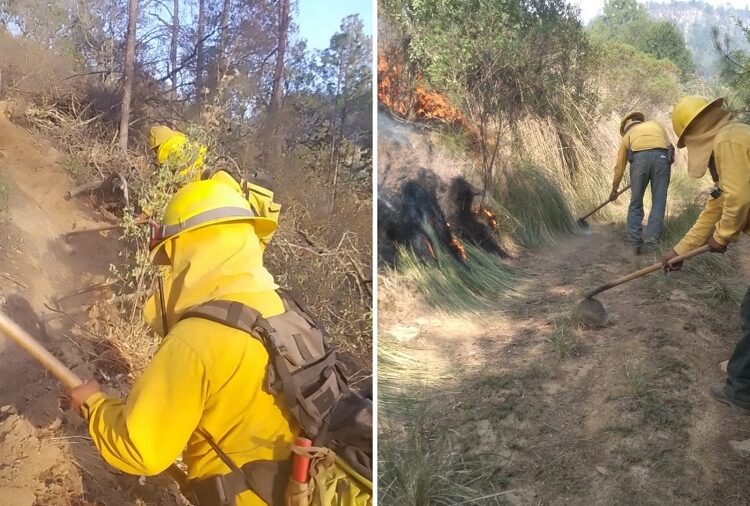 Gobierno del Estado combate con efectividad incendios forestales