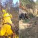 Gobierno del Estado combate con efectividad incendios forestales
