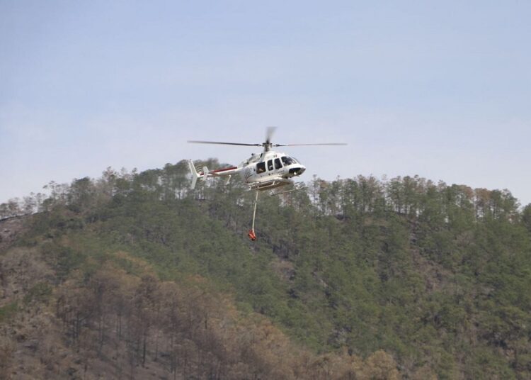 Centro Estatal de Manejo del Fuego reporta avances en combate a incendios forestales