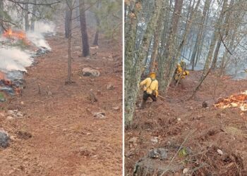 Combaten al 100% incendio forestal en Tetela de Ocampo
