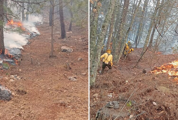 Combaten al 100% incendio forestal en Tetela de Ocampo