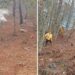 Combaten al 100% incendio forestal en Tetela de Ocampo