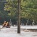 Suben a 13 los muertos por lluvias en sur de Brasil