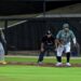 Pericos aseguran serie ante Tigres de Quintana Roo