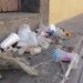 Retiran 81 toneladas de basura en un mes de lluvias