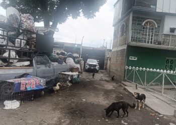 Aseguran en Texmelucan un inmueble donde presuntamente desmantelaban vehículos robados