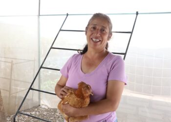 Bienestar promueve autosuficiencia alimentaria mediante Módulos Avícolas