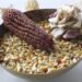 Gobierno de Puebla emite convocatoria ‘La Cultura del Sistema Milpa’