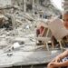 Fuego israelí deja al menos 47 muertos y 121 heridos en Gaza