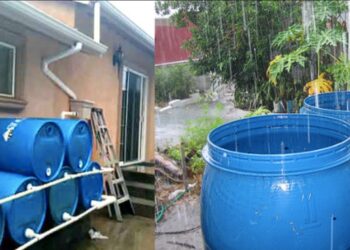 En zonas rurales de Puebla se capta entre 60 y 70% de agua de lluvia