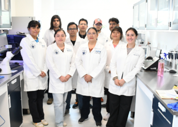 Investigadores BUAP desarrollan sensor de papel para detección de iones de arsénico